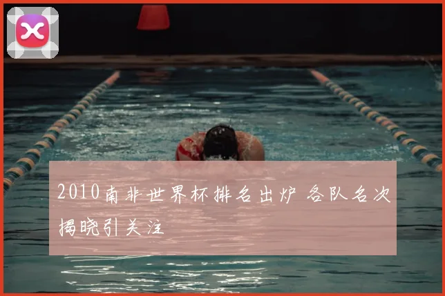 2010南非世界杯排名出炉 各队名次揭晓引关注